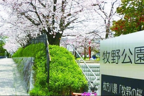 牧野について